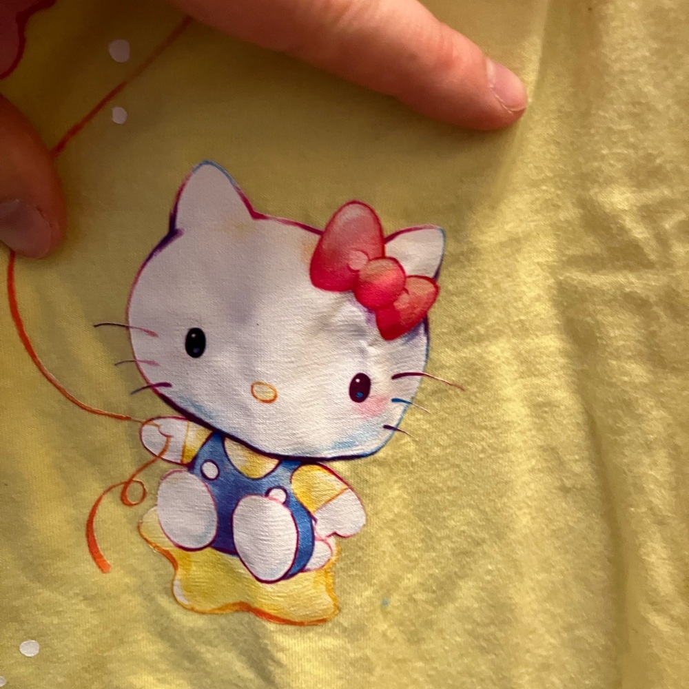 Care Bear x Hello Kitty T-Shirt - Picture 2 of 5
